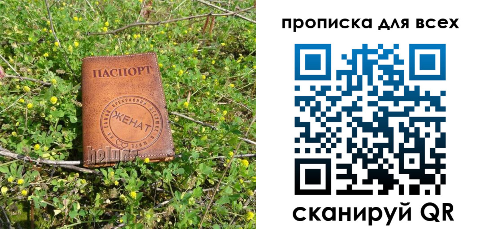 прописка поиск в Можайске